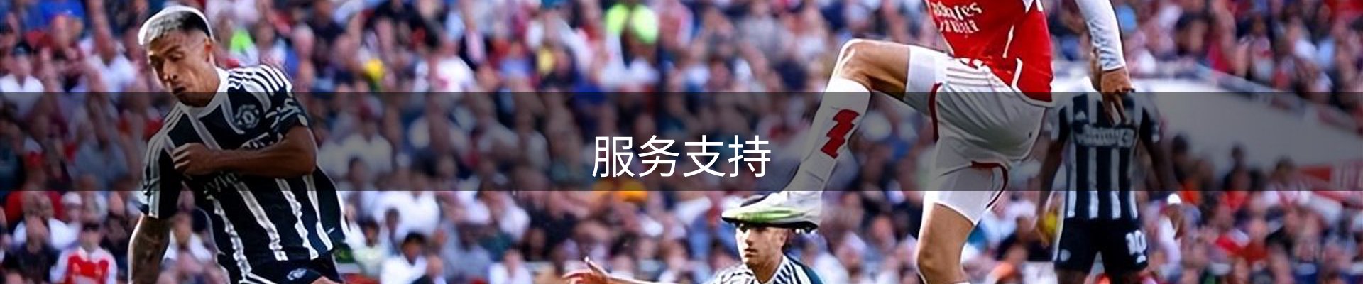 服务支持